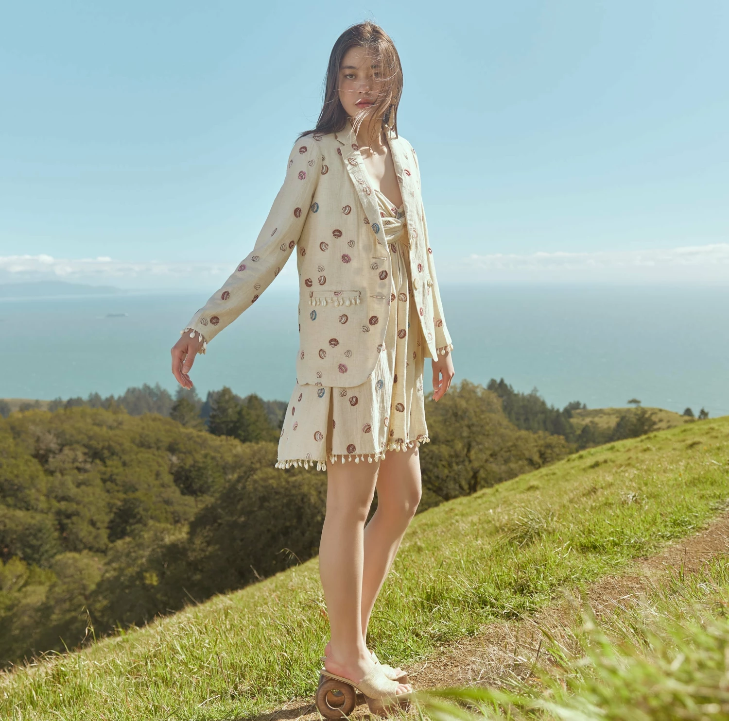 Katty Beaded Embroidered Mini Dress With Puka Fringe 5 Katty Beaded Embroidered Mini Dress With Puka Fringe - Image 5