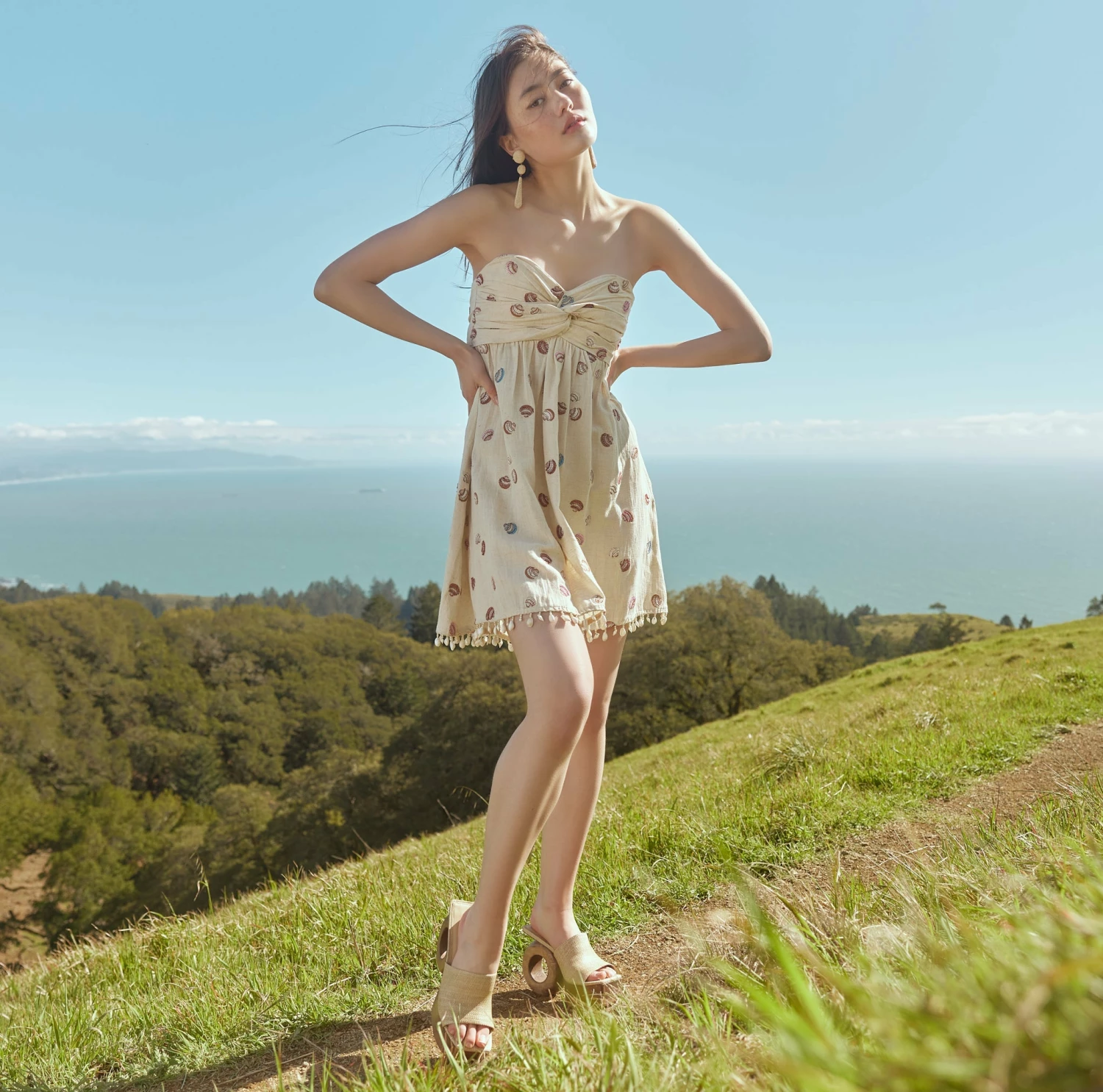 Katty Beaded Embroidered Mini Dress With Puka Fringe 2 Katty Beaded Embroidered Mini Dress With Puka Fringe - Image 2